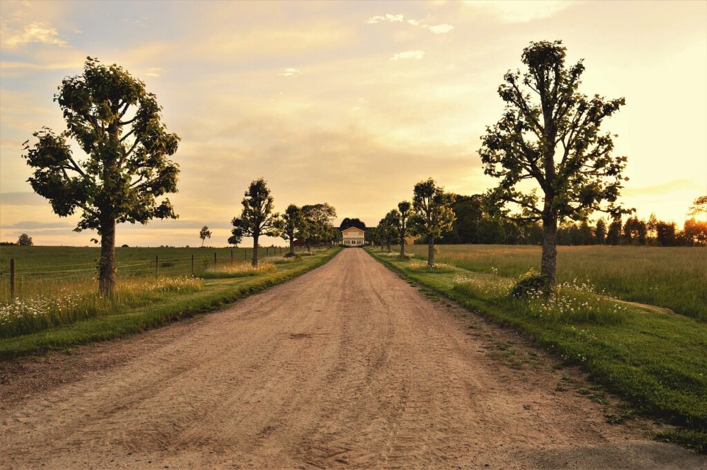 tree, house, country road-2423162.jpg